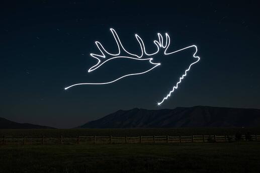 elk_light_painting-5420-6