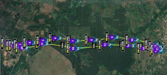 7.9-mile Litchi Round Trip