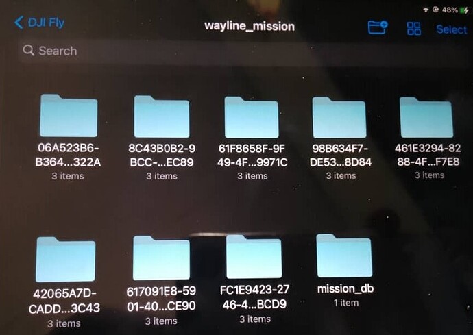DJI Fly Wapoints File