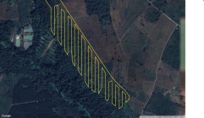 Flight Path at River Magnified