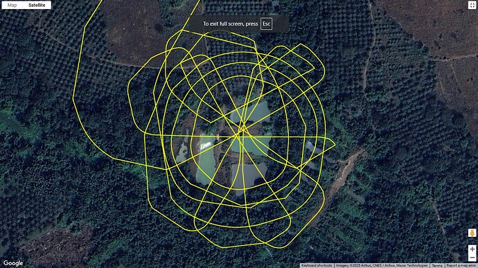 Spider's Web Flown M2P