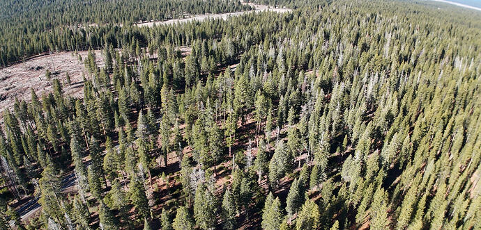 397b88b282e443673a0cdde6bc03a6b3a56dbf37