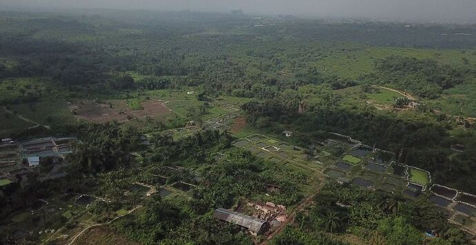 Catfish Ponds Before The Storm