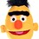Bert