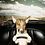 Mad_Pup